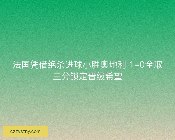 法国凭借绝杀进球小胜奥地利 1-0全取三分锁定晋级希望 法国凭借绝杀进球小胜奥地利 1-0全取三分锁定晋级希望