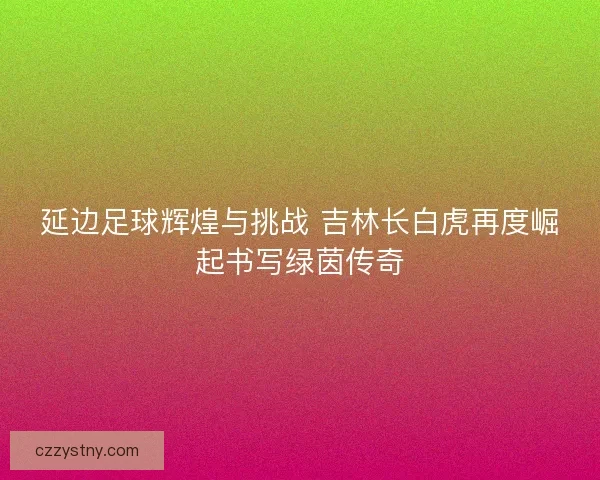 延边足球辉煌与挑战 吉林长白虎再度崛起书写绿茵传奇